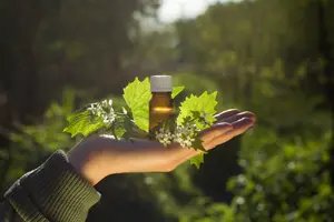 Холистична медицина