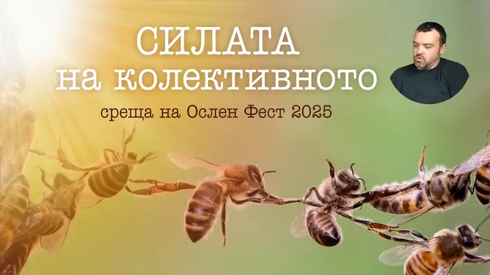 Силата на колективното