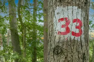 33 загадки от Учителя