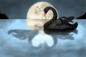 книга за смъртта