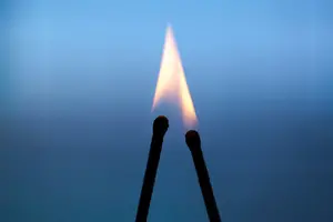 сродни души