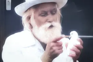 бял гълъб