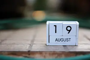 числото 19