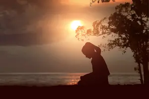 Дисциплина 