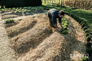 Биодинамичното земеделие на Щайнер и действието на Духа в Природата ще се изучава в колеж